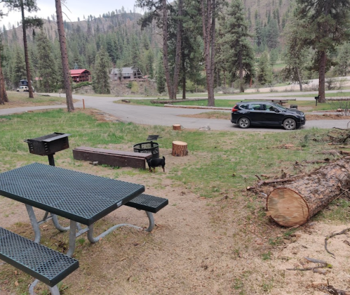 A picnic area with a table and grill, a parked car, and a forested road in a scenic outdoor setting.